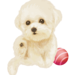 千库网_白色小狗宠物_元素编号12778561